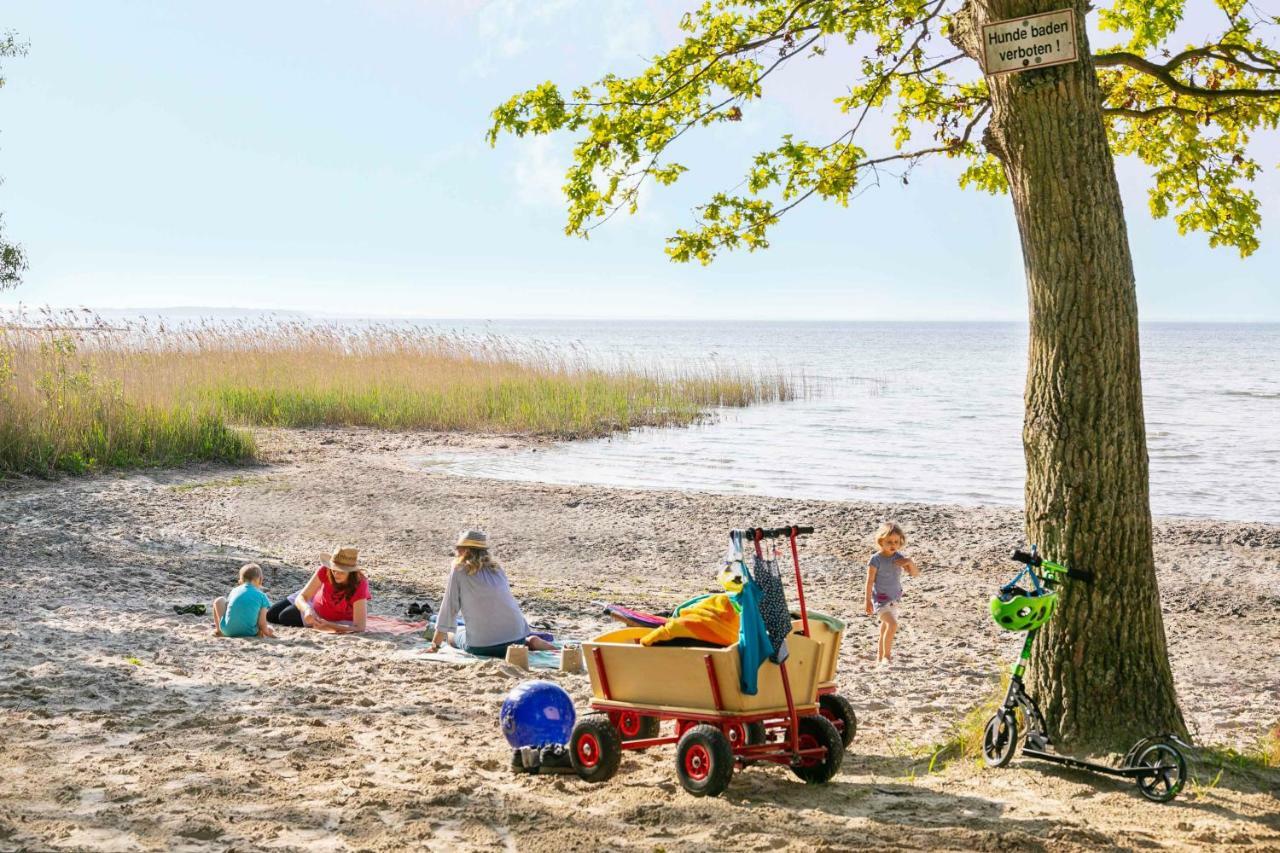 Mueritzparadies - Feriendorf Alte Fahrt Рехлин Екстериор снимка